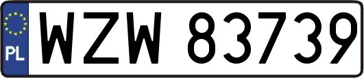 WZW83739