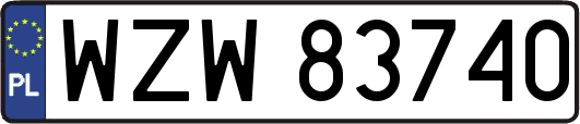 WZW83740