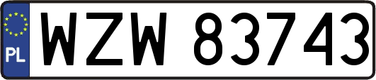 WZW83743