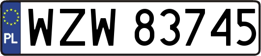 WZW83745