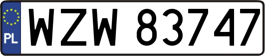 WZW83747