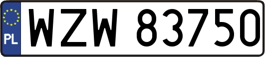 WZW83750