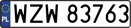 WZW83763