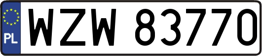 WZW83770