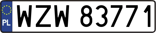 WZW83771