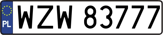 WZW83777