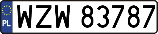 WZW83787