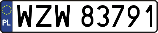 WZW83791