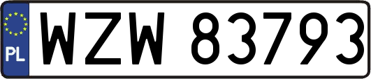 WZW83793