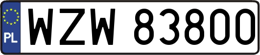 WZW83800