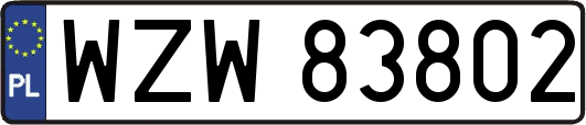 WZW83802