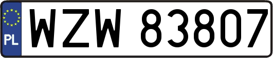 WZW83807
