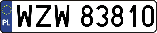 WZW83810