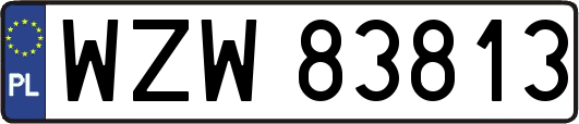 WZW83813