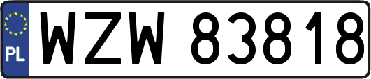 WZW83818