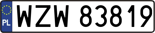 WZW83819