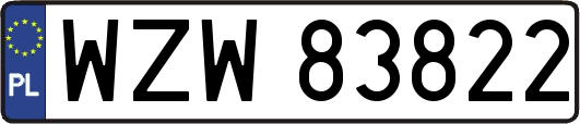 WZW83822