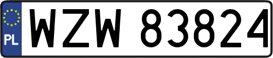 WZW83824