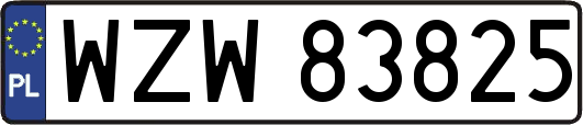 WZW83825