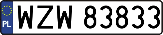 WZW83833