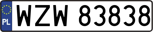 WZW83838