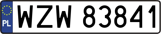 WZW83841