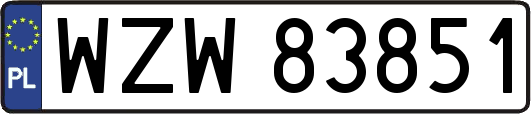 WZW83851