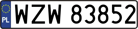 WZW83852