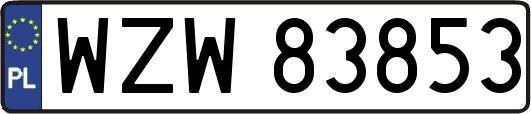 WZW83853