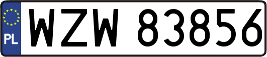 WZW83856