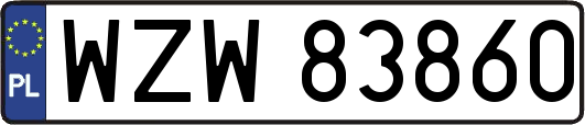 WZW83860