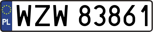 WZW83861