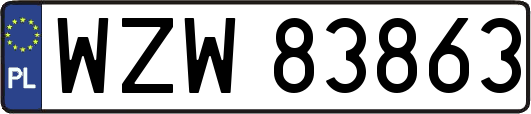 WZW83863