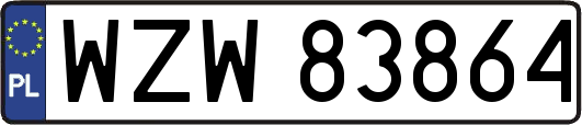 WZW83864