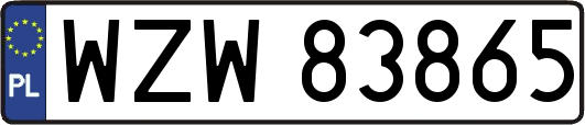 WZW83865