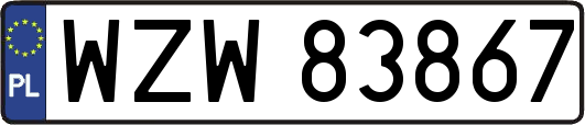 WZW83867