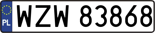 WZW83868
