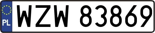 WZW83869