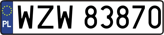 WZW83870