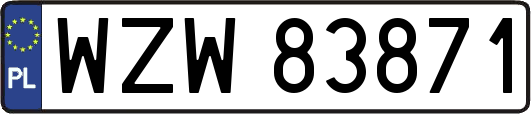 WZW83871
