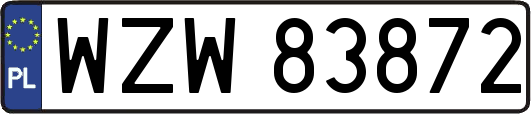 WZW83872
