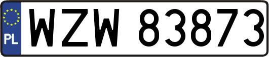 WZW83873