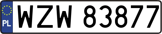 WZW83877