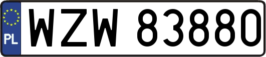 WZW83880