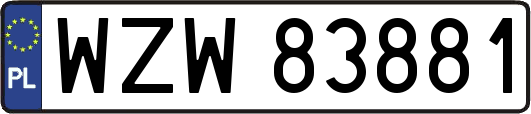 WZW83881