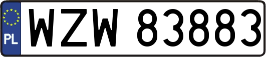 WZW83883