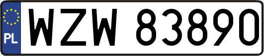 WZW83890