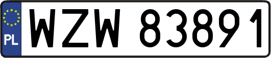 WZW83891