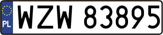 WZW83895