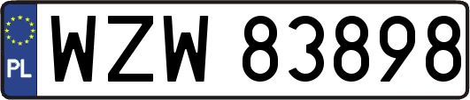 WZW83898